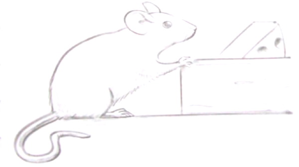 Maus zeichnen für Kinder mit Bleistift Schritt für Schritt
