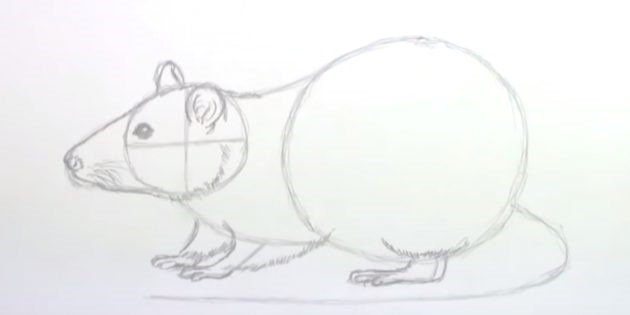 Maus zeichnen für Kinder mit Bleistift Schritt für Schritt