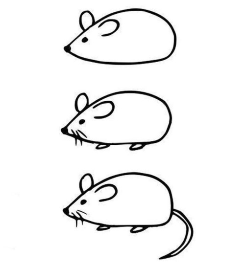Maus zeichnen für Kinder mit Bleistift Schritt für Schritt