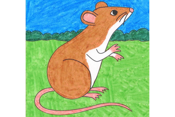 Maus zeichnen für Kinder mit Bleistift Schritt für Schritt