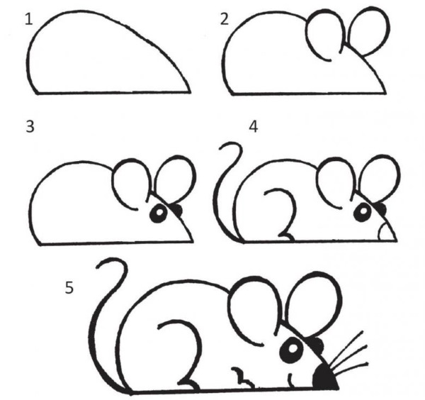 Maus zeichnen für Kinder mit Bleistift Schritt für Schritt
