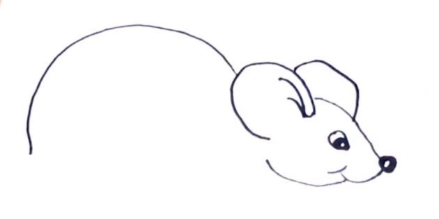 Maus zeichnen für Kinder mit Bleistift Schritt für Schritt