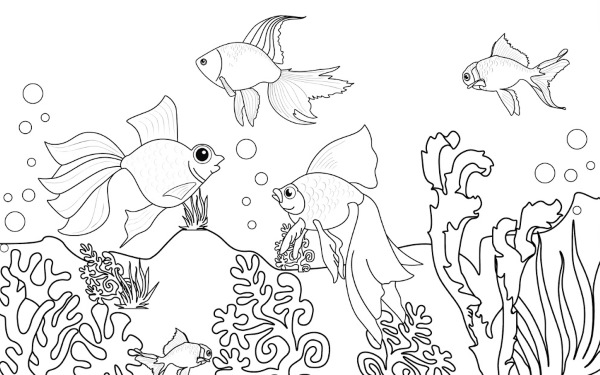 Aquarium: Zeichnen für Kinder mit Bleistift, Farben