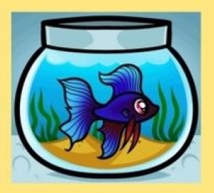 Aquarium: Zeichnen für Kinder mit Bleistift, Farben