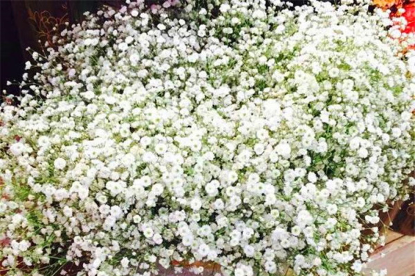 Sträuße aus getrockneten Blumen. Fotos, DIY-Kompositionen für Anfänger