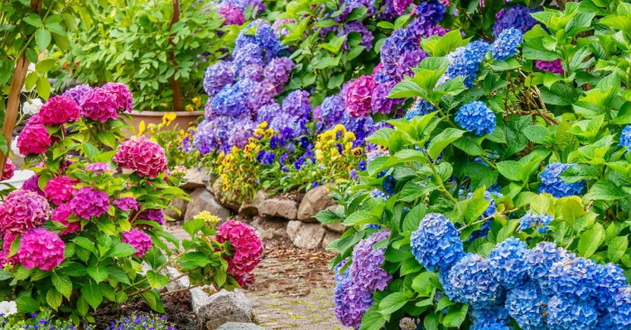 Sträuße aus getrockneten Blumen. Fotos, DIY-Kompositionen für Anfänger