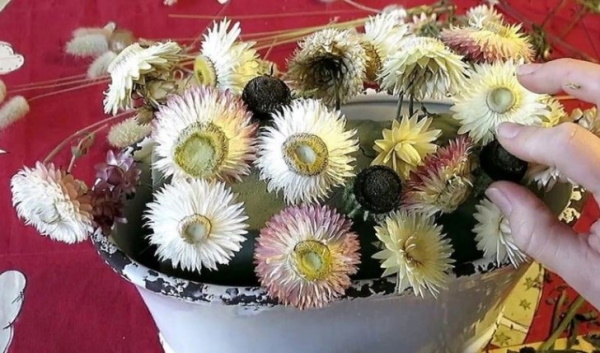 Sträuße aus getrockneten Blumen. Fotos, DIY-Kompositionen für Anfänger