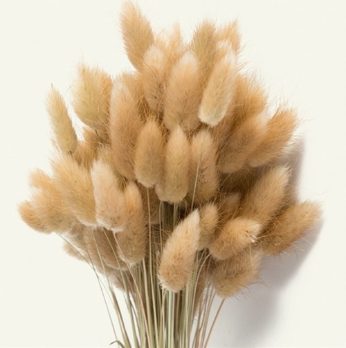 Sträuße aus getrockneten Blumen. Fotos, DIY-Kompositionen für Anfänger