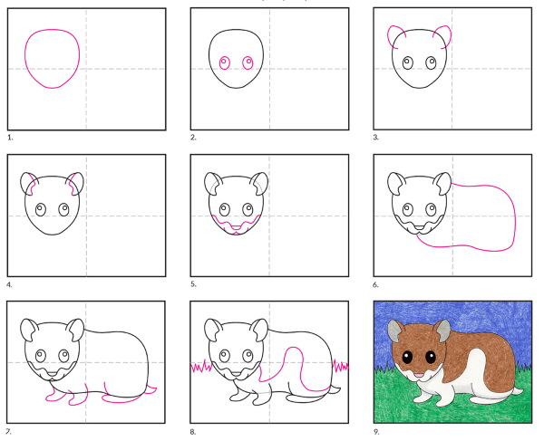 Hamster zeichnen für Kinder Schritt für Schritt mit einem Bleistift