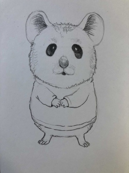 Hamster zeichnen für Kinder Schritt für Schritt mit einem Bleistift