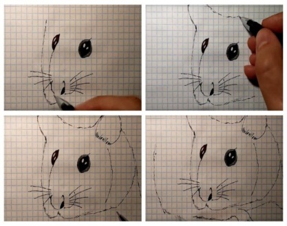 Hamster zeichnen für Kinder Schritt für Schritt mit einem Bleistift