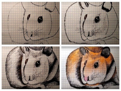 Hamster zeichnen für Kinder Schritt für Schritt mit einem Bleistift