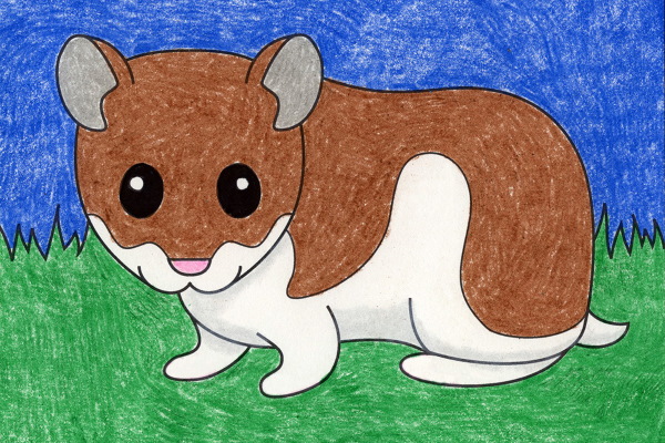 Hamster zeichnen für Kinder Schritt für Schritt mit einem Bleistift