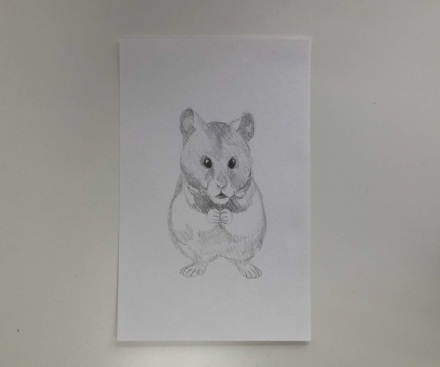 Hamster zeichnen für Kinder Schritt für Schritt mit einem Bleistift