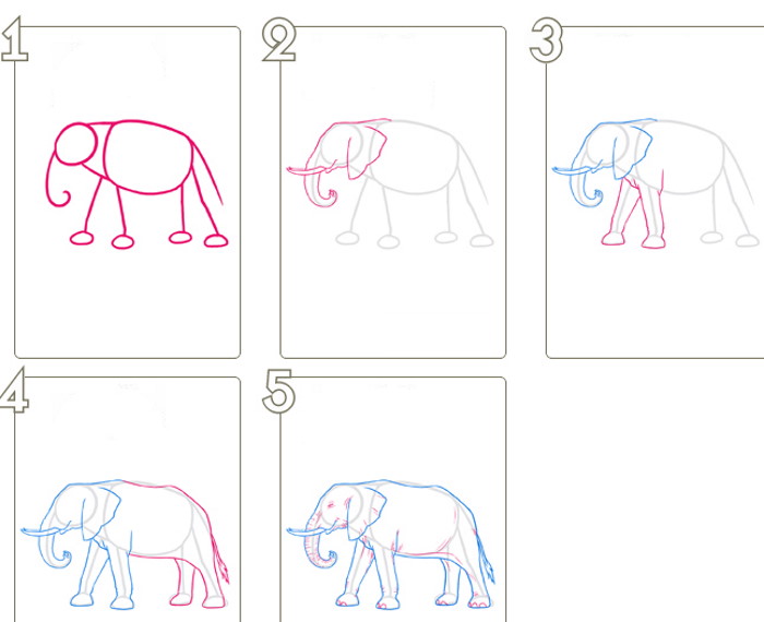 Indischer Elefant. Bleistiftzeichnung für Kinder Schritt für Schritt mit Ornament