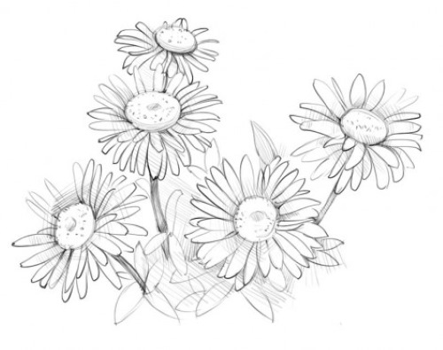 Disegno floreale in stile Art Nouveau. Stilizzazione ad acquerello