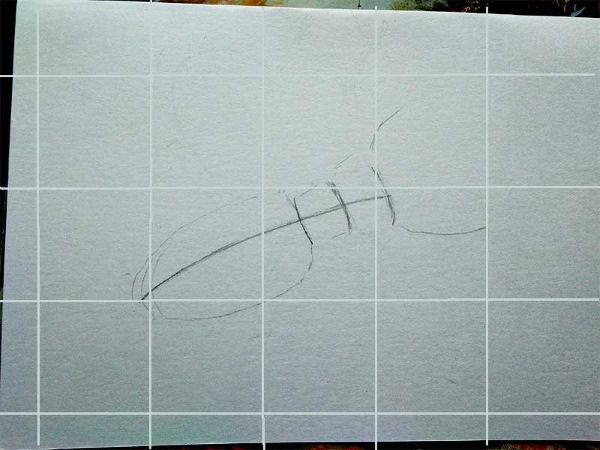 Käfer - Schritt für Schritt zeichnen für Kinder mit Bleistift