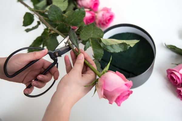 Blumen in einer Hutschachtel. Fotos, wie man es selbst macht