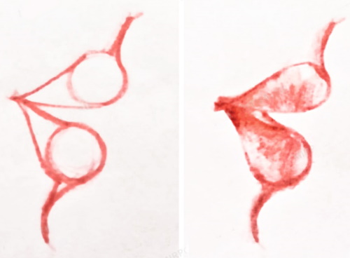 Lippen zeichnen mit Bleistift Schritt für Schritt für Anfänger