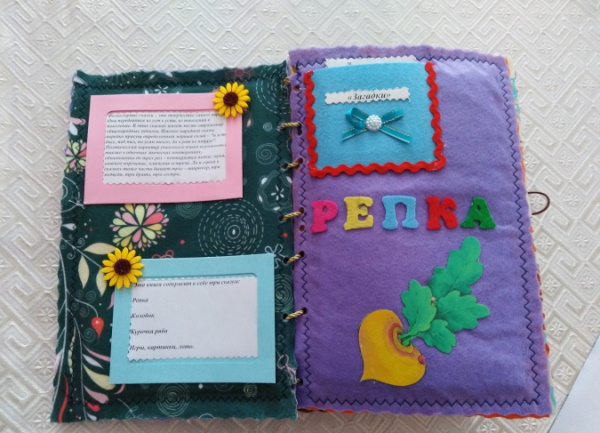 So erstellen Sie Schritt für Schritt ein Lapbook mit Ihren eigenen Händen aus Filz, Pappe, Ordner