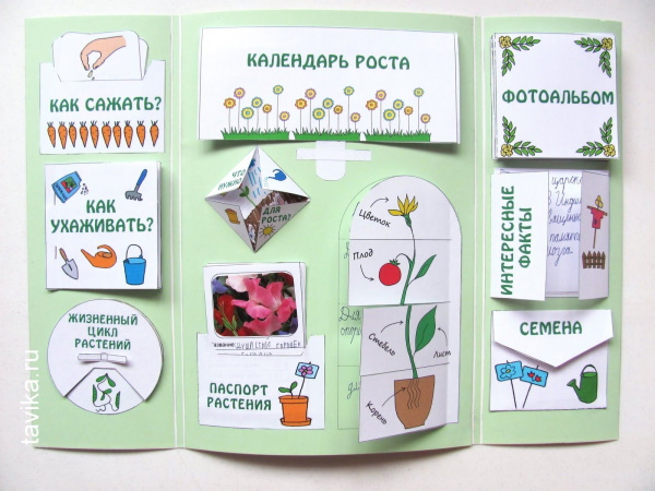 So erstellen Sie Schritt für Schritt ein Lapbook mit Ihren eigenen Händen aus Filz, Pappe, Ordner