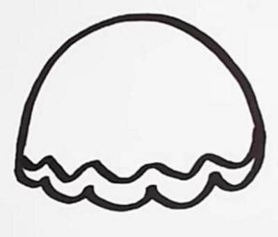 Quallen zeichnen für Kinder mit Bleistift Schritt für Schritt