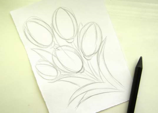 Tulpenzeichnung mit Bleistift – einfach Schritt für Schritt für Anfänger