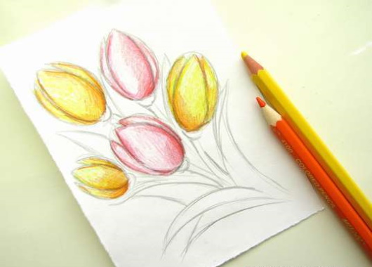 Tulpenzeichnung mit Bleistift – einfach Schritt für Schritt für Anfänger