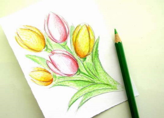 Tulpenzeichnung mit Bleistift – einfach Schritt für Schritt für Anfänger
