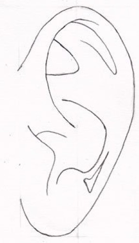 Orecchio - disegno passo dopo passo per bambini con matita