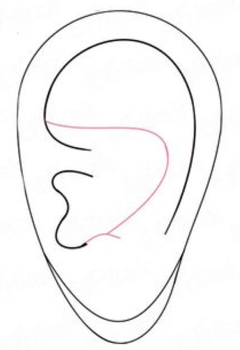 Orecchio - disegno passo dopo passo per bambini con matita