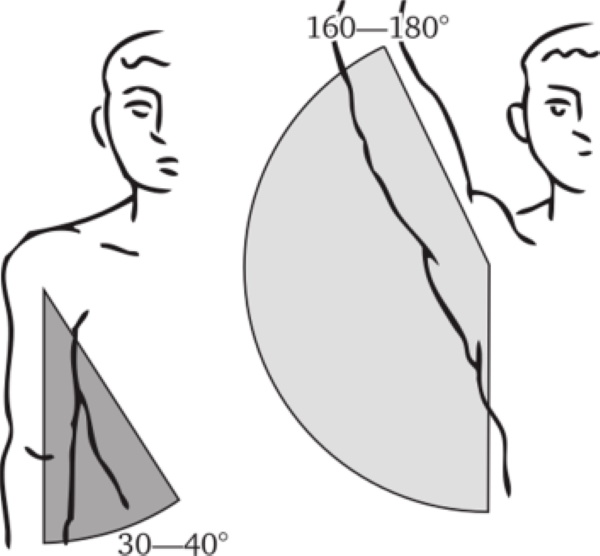 Handanatomie für Anfänger: Schritt-für-Schritt-Zeichnen. Bau abgeschlossen