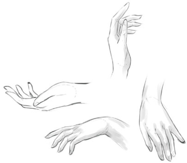 Handanatomie für Anfänger: Schritt-für-Schritt-Zeichnen. Bau abgeschlossen