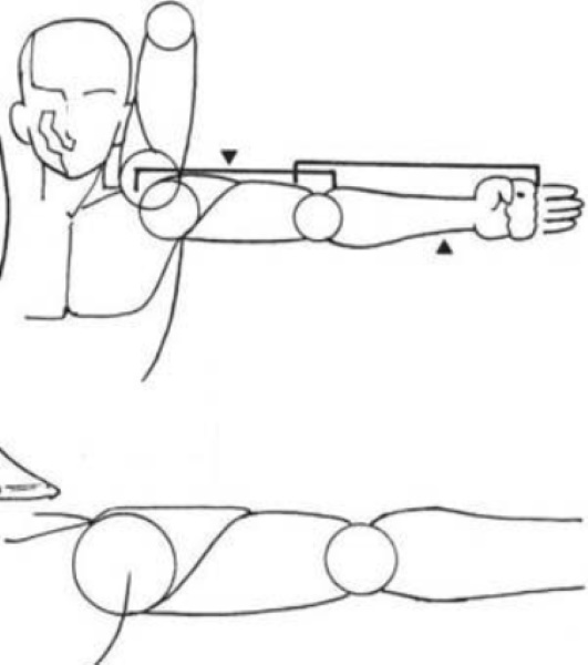 Handanatomie für Anfänger: Schritt-für-Schritt-Zeichnen. Bau abgeschlossen