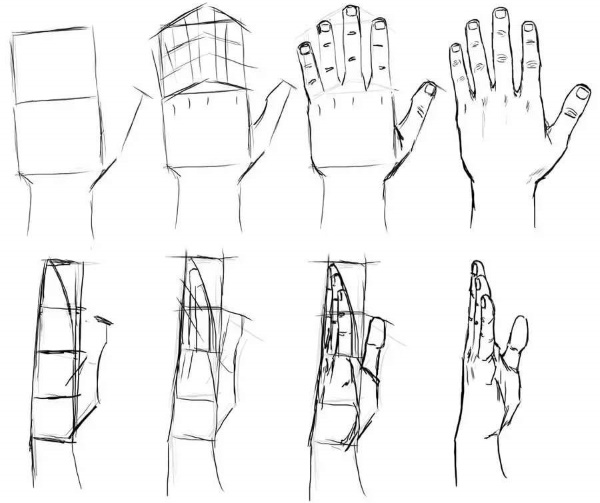 Handanatomie für Anfänger: Schritt-für-Schritt-Zeichnen. Bau abgeschlossen