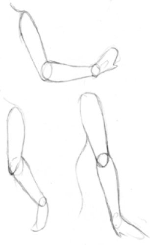Handanatomie für Anfänger: Schritt-für-Schritt-Zeichnen. Bau abgeschlossen