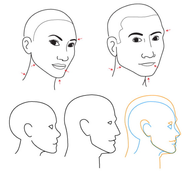 Disegno a matita di un volto di profilo passo dopo passo per principianti