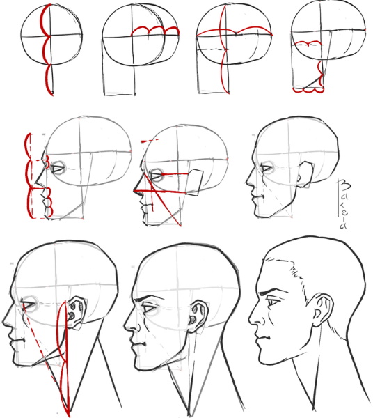 Disegno a matita di un volto di profilo passo dopo passo per principianti