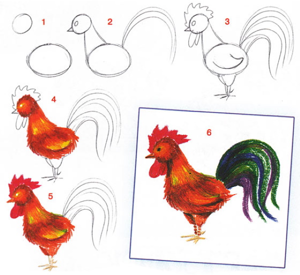 Hahnzeichnung für Kinder mit Bleistift, Farben in Farbe, Schwarzweiß