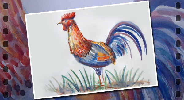 Hahnzeichnung für Kinder mit Bleistift, Farben in Farbe, Schwarzweiß