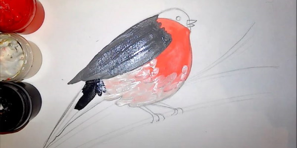 Zeichnung eines Gimpels für Kinder mit einem Bleistift, malt Schritt für Schritt auf einem Ebereschenzweig, im Winter, mit einem Vogelhäuschen