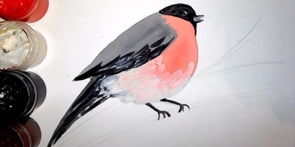Zeichnung eines Gimpels für Kinder mit einem Bleistift, malt Schritt für Schritt auf einem Ebereschenzweig, im Winter, mit einem Vogelhäuschen