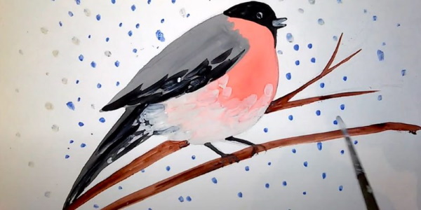 Zeichnung eines Gimpels für Kinder mit einem Bleistift, malt Schritt für Schritt auf einem Ebereschenzweig, im Winter, mit einem Vogelhäuschen