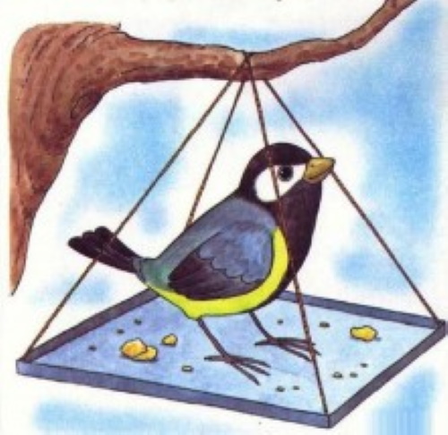 Zeichnung eines Gimpels für Kinder mit einem Bleistift, malt Schritt für Schritt auf einem Ebereschenzweig, im Winter, mit einem Vogelhäuschen