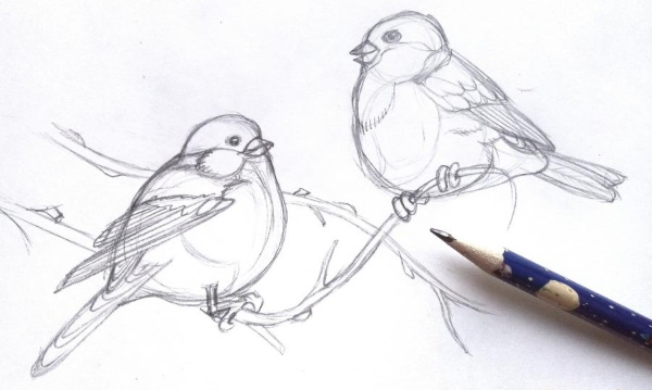 Zeichnung eines Gimpels für Kinder mit einem Bleistift, malt Schritt für Schritt auf einem Ebereschenzweig, im Winter, mit einem Vogelhäuschen