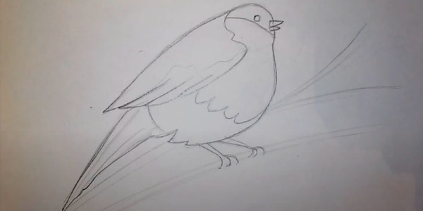 Zeichnung eines Gimpels für Kinder mit einem Bleistift, malt Schritt für Schritt auf einem Ebereschenzweig, im Winter, mit einem Vogelhäuschen