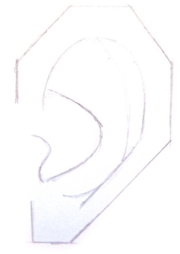 Orecchio - disegno passo dopo passo per bambini con matita