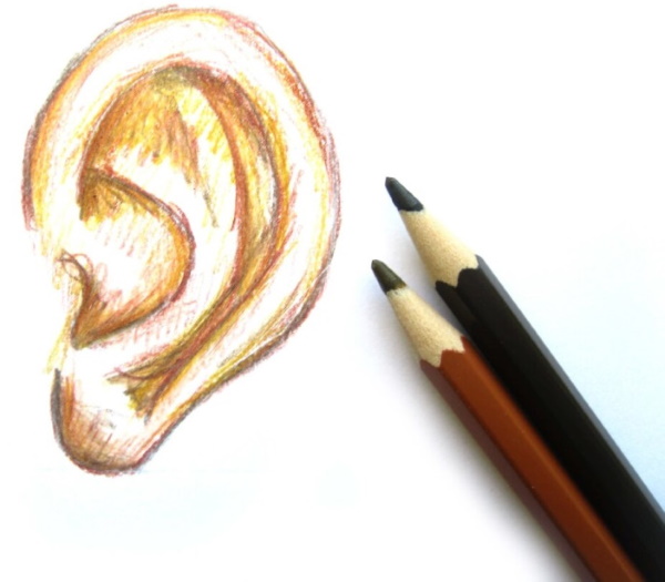 Orecchio - disegno passo dopo passo per bambini con matita