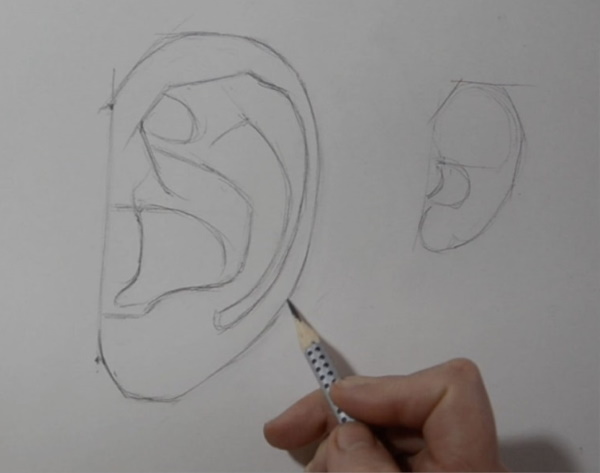Orecchio - disegno passo dopo passo per bambini con matita