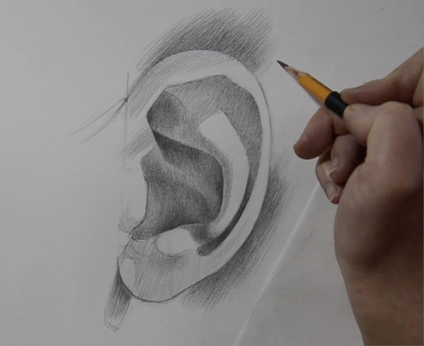 Orecchio - disegno passo dopo passo per bambini con matita